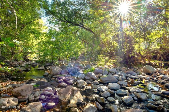 3995 W Forest Svc Rd 249 --, Young, AZ 85554