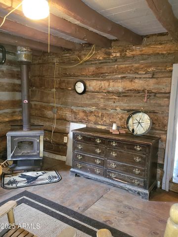 3995 W Forest Svc Rd 249 --, Young, AZ 85554