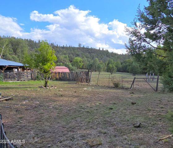 3995 W Forest Svc Rd 249 --, Young, AZ 85554
