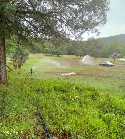 3995 W Forest Svc Rd 249 --, Young, AZ 85554