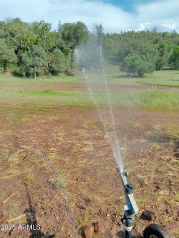 3995 W Forest Svc Rd 249 --, Young, AZ 85554