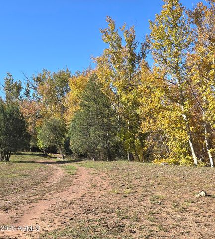 3995 W Forest Svc Rd 249 --, Young, AZ 85554