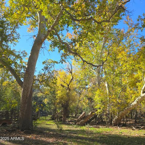 3995 W Forest Svc Rd 249 --, Young, AZ 85554