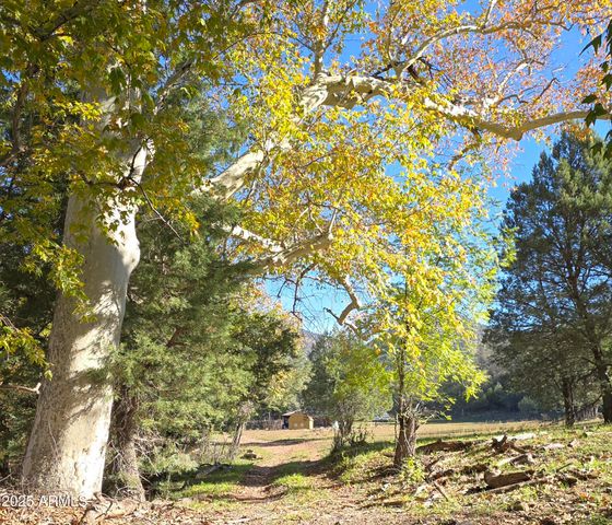 3995 W Forest Svc Rd 249 --, Young, AZ 85554