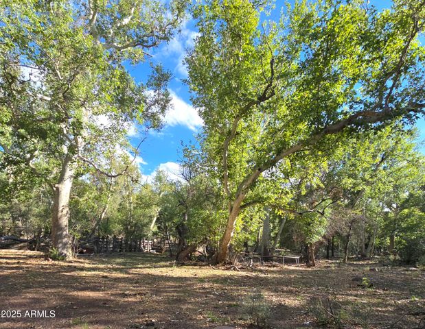 3995 W Forest Svc Rd 249 --, Young, AZ 85554