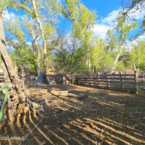 3995 W Forest Svc Rd 249 --, Young, AZ 85554
