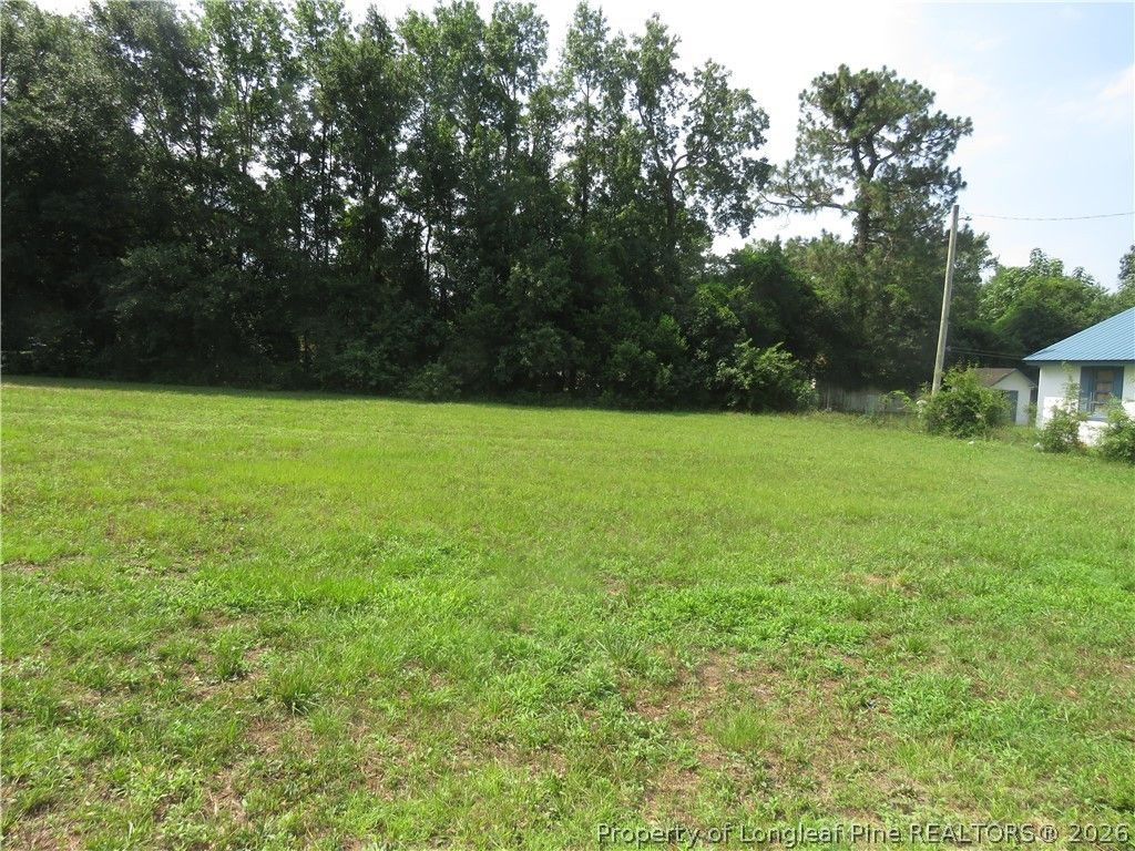OLSEN Street, Lumberton, NC 28358 — photo 2