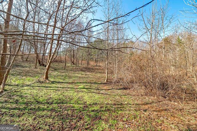 170 Mackey Road, Mcdonough, GA 30252