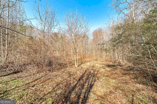 170 Mackey Road, Mcdonough, GA 30252