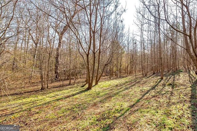 170 Mackey Road, Mcdonough, GA 30252