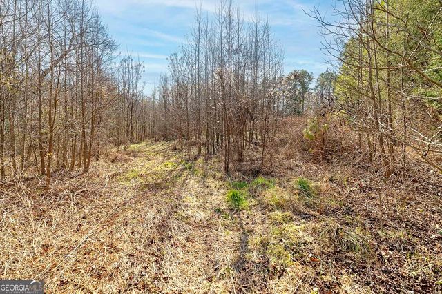 170 Mackey Road, Mcdonough, GA 30252