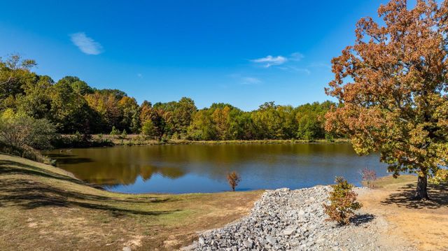 9 Tannon Cove, Greenbrier, AR 72058