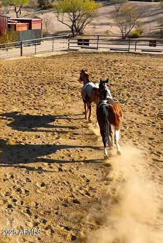 32905 N 140TH Street, Scottsdale, AZ 85262