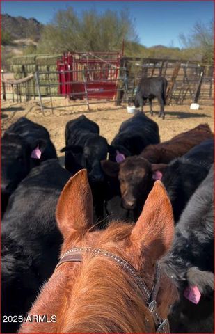 32905 N 140TH Street, Scottsdale, AZ 85262