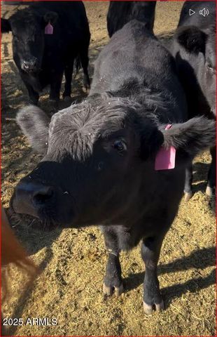 32905 N 140TH Street, Scottsdale, AZ 85262