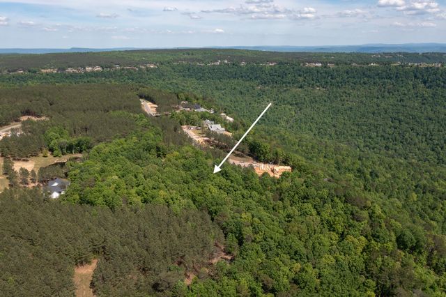 Lot 175 Crockett Pointe, Jasper, TN 37347