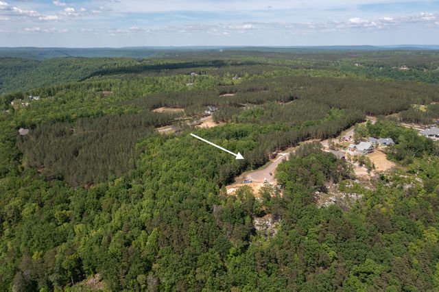 Lot 175 Crockett Pointe, Jasper, TN 37347