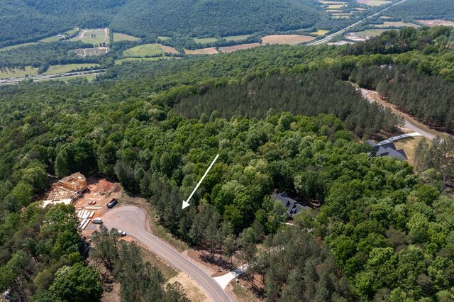 Lot 175 Crockett Pointe, Jasper, TN 37347