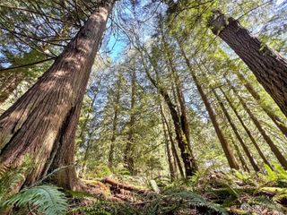 30 Little Strawberry Lane, Bellingham, WA 98229