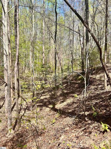 00 S Us - 25 Highway, Travelers Rest, SC 29690