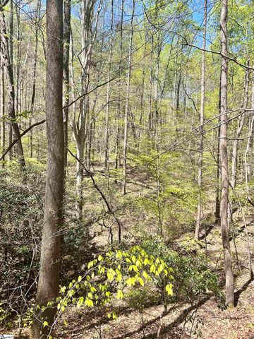 00 S Us - 25 Highway, Travelers Rest, SC 29690
