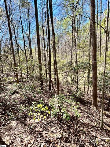 00 S Us - 25 Highway, Travelers Rest, SC 29690