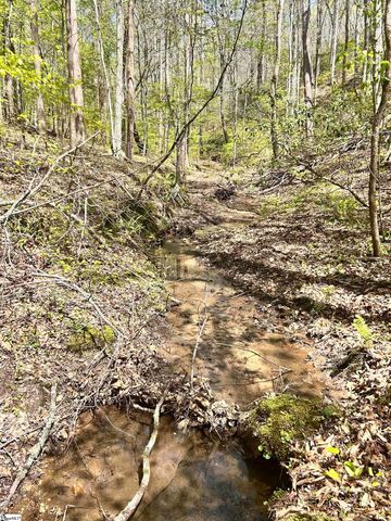 00 S Us - 25 Highway, Travelers Rest, SC 29690