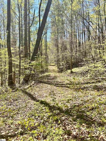 00 S Us - 25 Highway, Travelers Rest, SC 29690