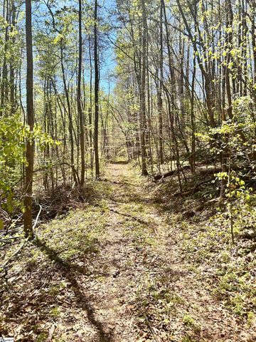 00 S Us - 25 Highway, Travelers Rest, SC 29690