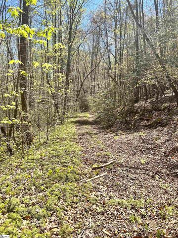 00 S Us - 25 Highway, Travelers Rest, SC 29690