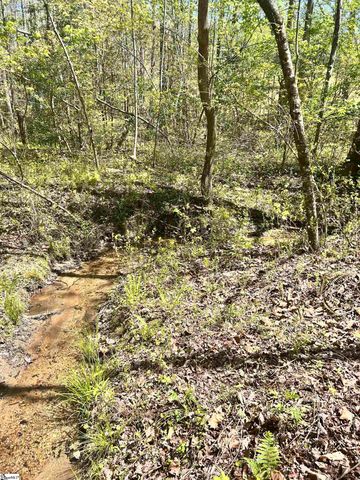 00 S Us - 25 Highway, Travelers Rest, SC 29690