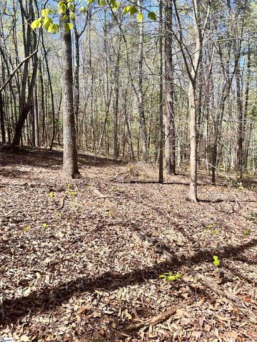00 S Us - 25 Highway, Travelers Rest, SC 29690