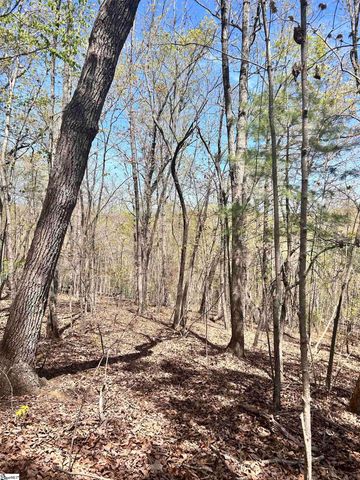 00 S Us - 25 Highway, Travelers Rest, SC 29690