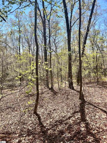00 S Us - 25 Highway, Travelers Rest, SC 29690