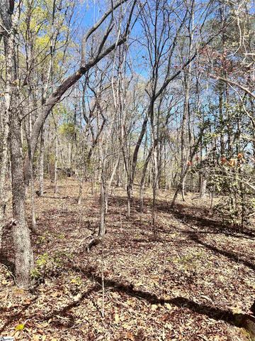 00 S Us - 25 Highway, Travelers Rest, SC 29690