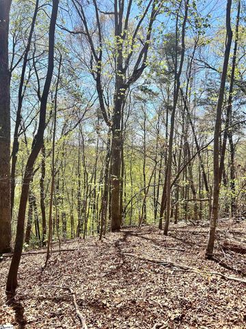 00 S Us - 25 Highway, Travelers Rest, SC 29690