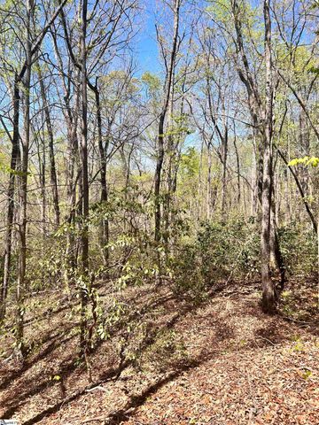 00 S Us - 25 Highway, Travelers Rest, SC 29690