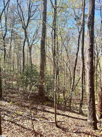 00 S Us - 25 Highway, Travelers Rest, SC 29690