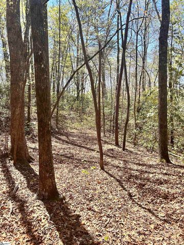 00 S Us - 25 Highway, Travelers Rest, SC 29690