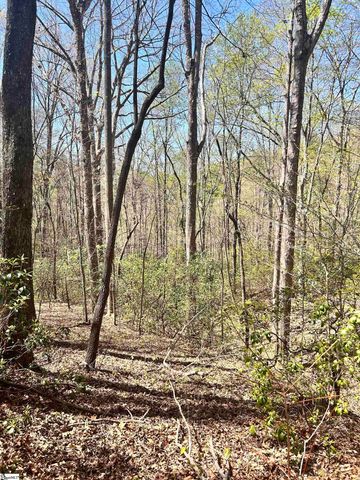 00 S Us - 25 Highway, Travelers Rest, SC 29690