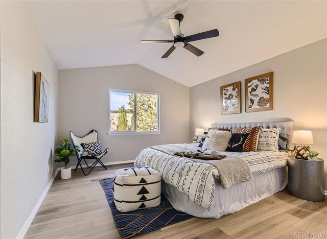 685 Branding Iron Lane, Castle Rock, CO 80104