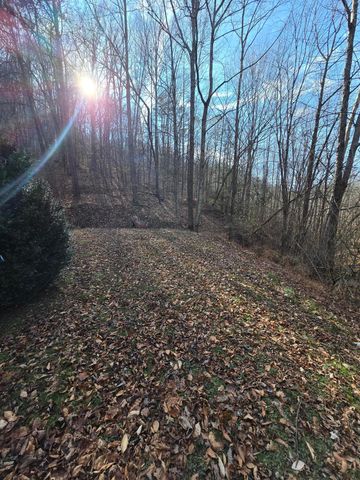 60 Dorothy Lane, Hyden, KY 41749