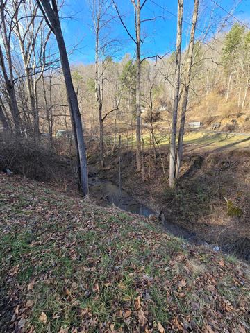 60 Dorothy Lane, Hyden, KY 41749