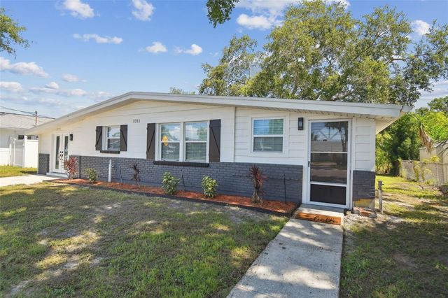 8703 DRIFTWOOD DRIVE, Tampa, FL 33615
