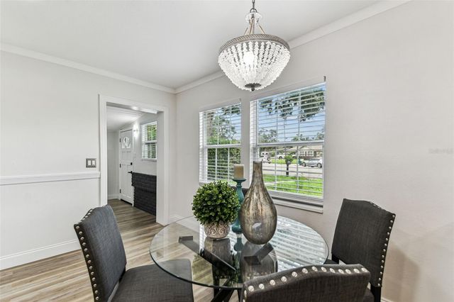 8703 DRIFTWOOD DRIVE, Tampa, FL 33615