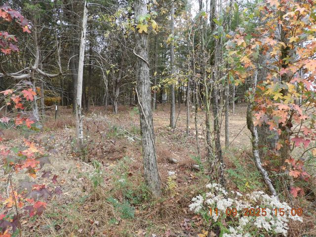 3135 Oak Grove Rd, Goodspring, TN 38460