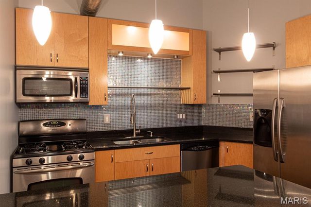 2401 S 12th 203, St Louis, MO 63104