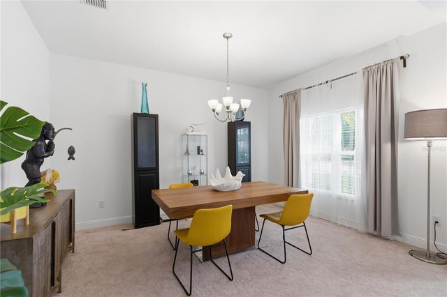 9714 PROVENCAL AVENUE, Seffner, FL 33584