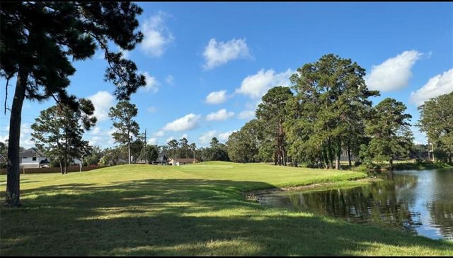 20313 Sunny Shores Drive B, Humble, TX 77346