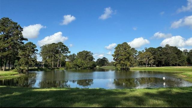 20313 Sunny Shores Drive B, Humble, TX 77346